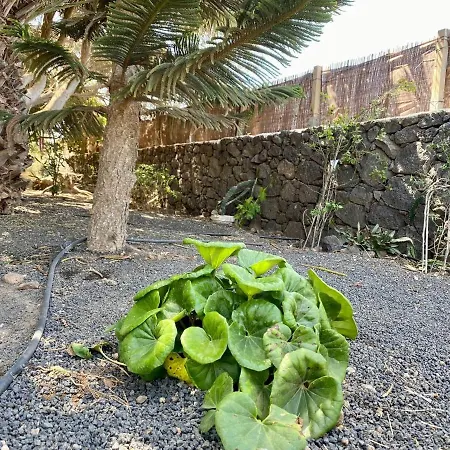 Casa Rural En La Naturaleza * San Bartolomé
